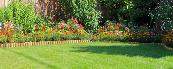Bordure de jardin